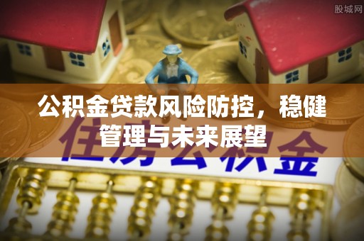 连南公积金贷款风险防控，稳健管理与未来展望