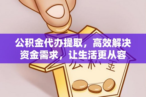 连南公积金代办提取，高效解决资金需求，让生活更从容
