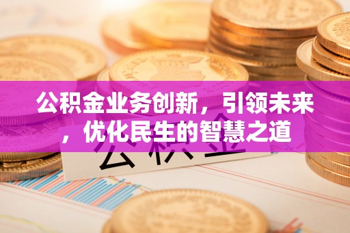 连南公积金业务创新，引领未来，优化民生的智慧之道