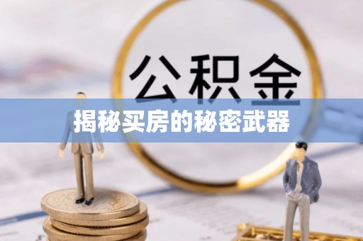 连南揭秘买房的秘密武器