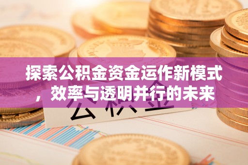 连南探索公积金资金运作新模式，效率与透明并行的未来
