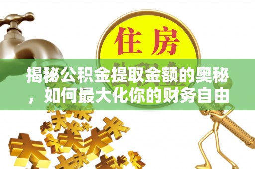连南揭秘公积金提取金额的奥秘，如何最大化你的财务自由