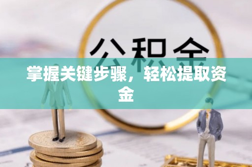 连南掌握关键步骤，轻松提取资金