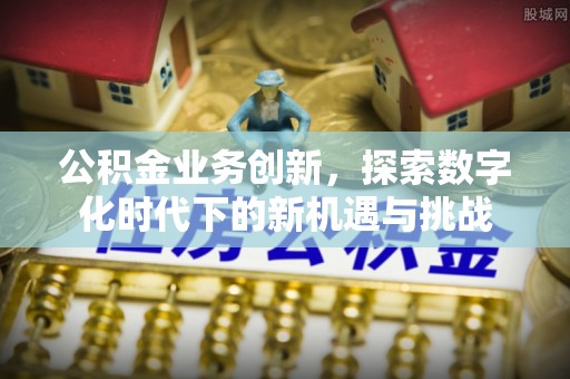 连南公积金业务创新，探索数字化时代下的新机遇与挑战