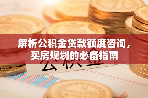 连南解析公积金贷款额度咨询，买房规划的必备指南