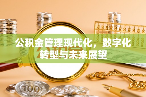 连南公积金管理现代化，数字化转型与未来展望