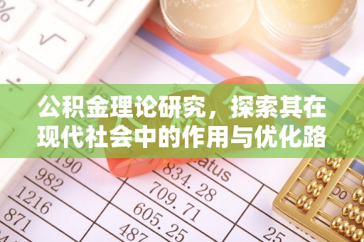 连南公积金理论研究，探索其在现代社会中的作用与优化路径