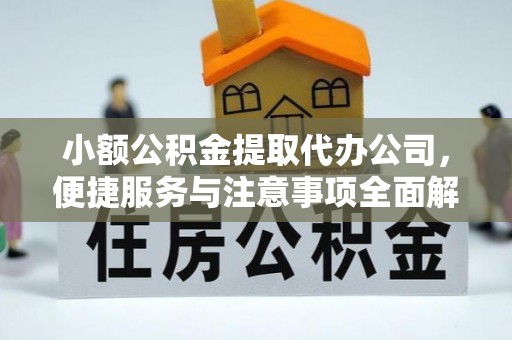 连南小额公积金提取代办公司，便捷服务与注意事项全面解析