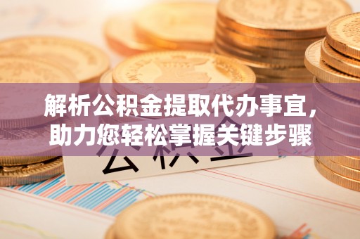 连南解析公积金提取代办事宜，助力您轻松掌握关键步骤