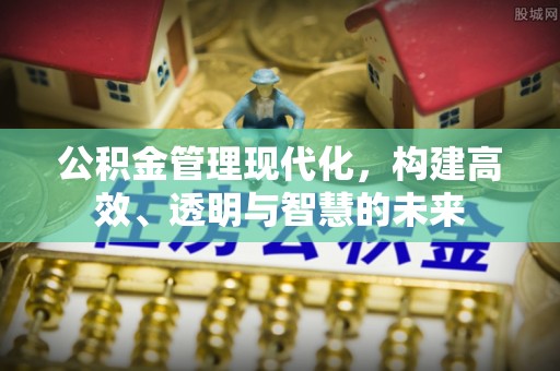 连南公积金管理现代化，构建高效、透明与智慧的未来