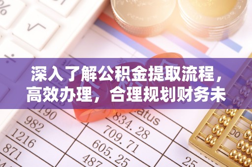连南深入了解公积金提取流程，高效办理，合理规划财务未来