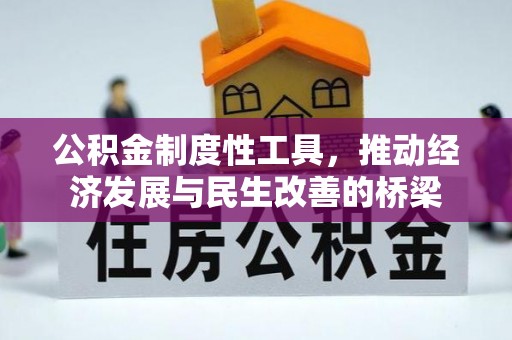 连南公积金制度性工具，推动经济发展与民生改善的桥梁