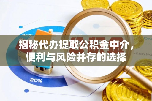 连南揭秘代办提取公积金中介，便利与风险并存的选择