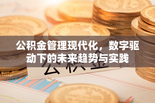 连南公积金管理现代化，数字驱动下的未来趋势与实践