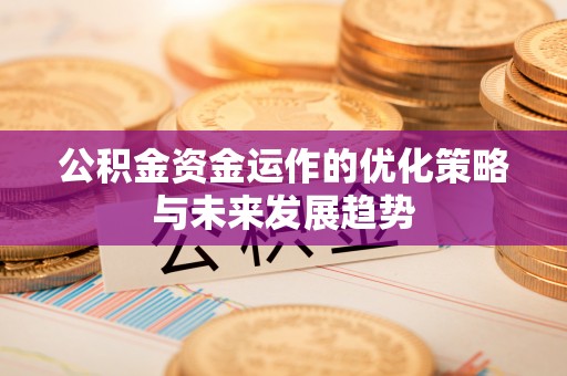 连南公积金资金运作的优化策略与未来发展趋势