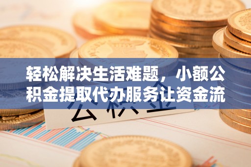 连南轻松解决生活难题，小额公积金提取代办服务让资金流动更便捷