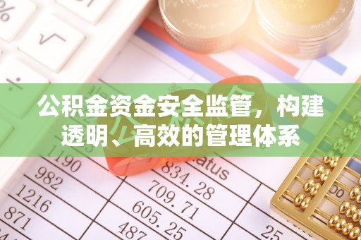 连南公积金资金安全监管，构建透明、高效的管理体系