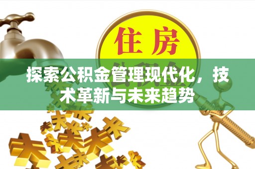 连南探索公积金管理现代化，技术革新与未来趋势