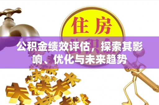 连南公积金绩效评估，探索其影响、优化与未来趋势