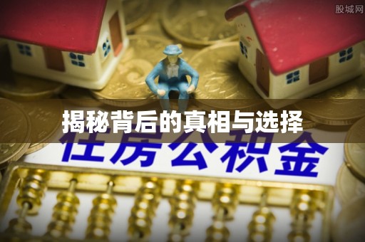 连南揭秘背后的真相与选择