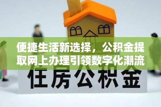 连南便捷生活新选择，公积金提取网上办理引领数字化潮流