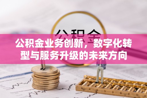 连南公积金业务创新，数字化转型与服务升级的未来方向
