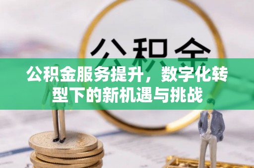 连南公积金服务提升，数字化转型下的新机遇与挑战