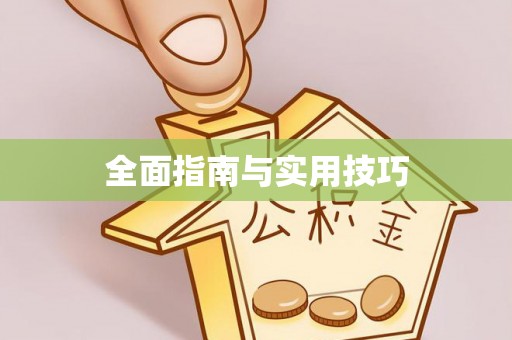 连南全面指南与实用技巧