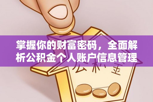 连南掌握你的财富密码，全面解析公积金个人账户信息管理与优化