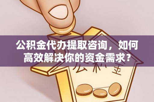 连南公积金代办提取咨询，如何高效解决你的资金需求？