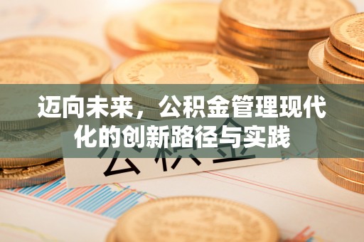 连南迈向未来，公积金管理现代化的创新路径与实践