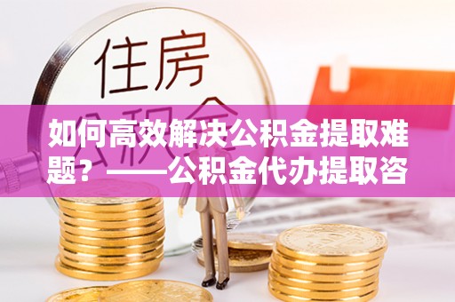 连南如何高效解决公积金提取难题？——公积金代办提取咨询服务全解析