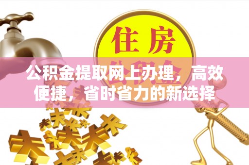 连南公积金提取网上办理，高效便捷，省时省力的新选择