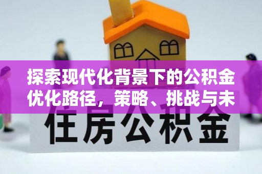 连南探索现代化背景下的公积金优化路径，策略、挑战与未来展望