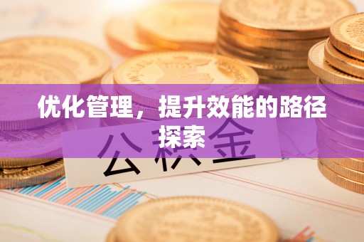 连南优化管理，提升效能的路径探索