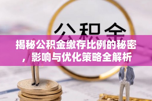 连南揭秘公积金缴存比例的秘密，影响与优化策略全解析