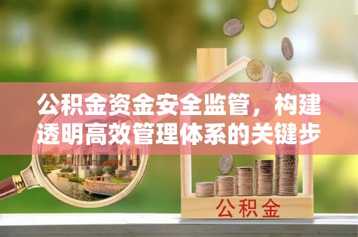连南公积金资金安全监管，构建透明高效管理体系的关键步骤