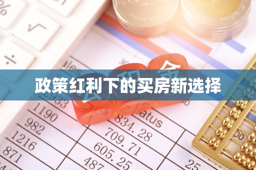 连南政策红利下的买房新选择