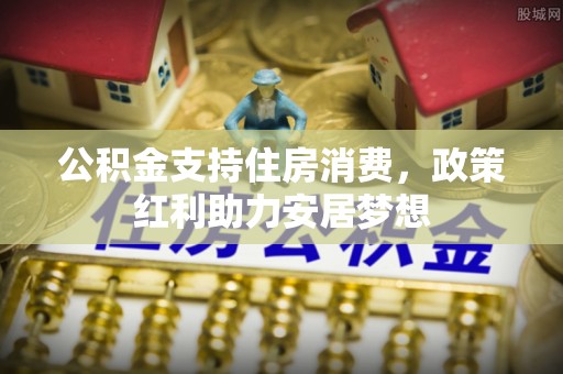 连南公积金支持住房消费，政策红利助力安居梦想