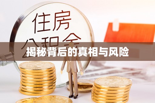连南揭秘背后的真相与风险