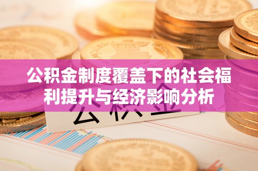 连南公积金制度覆盖下的社会福利提升与经济影响分析
