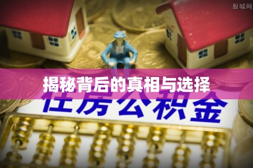 连南揭秘背后的真相与选择
