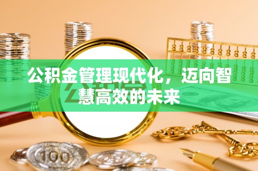 连南公积金管理现代化，迈向智慧高效的未来