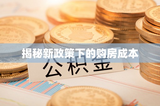 连南揭秘新政策下的购房成本