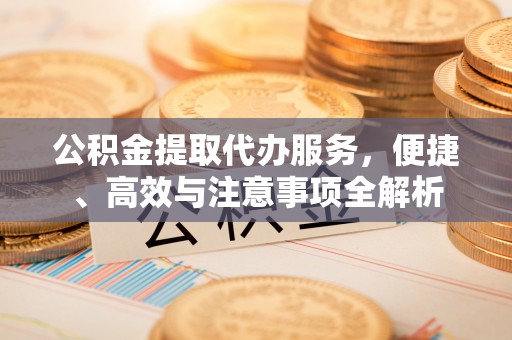 连南公积金提取代办服务，便捷、高效与注意事项全解析