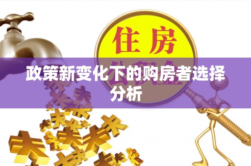 连南政策新变化下的购房者选择分析