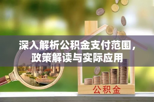 连南深入解析公积金支付范围，政策解读与实际应用