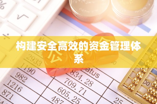 连南构建安全高效的资金管理体系