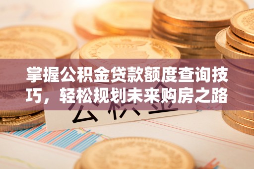 连南掌握公积金贷款额度查询技巧，轻松规划未来购房之路