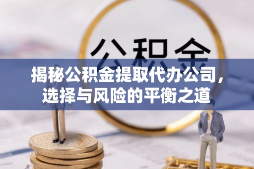 连南揭秘公积金提取代办公司，选择与风险的平衡之道